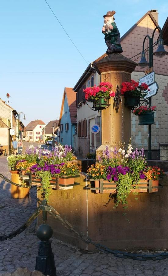 La Hasel Appartement Oberhaslach Buitenkant foto